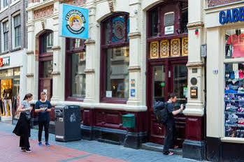 The Flying Pig Downtown Hostal